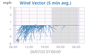 Wind Vector