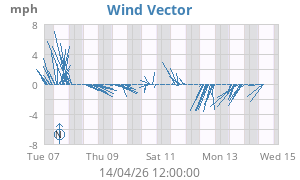 Wind Vector